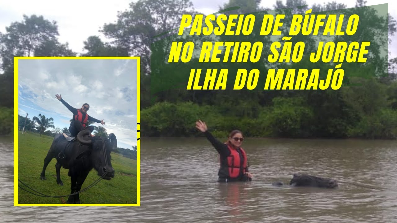Passeio de Búfalo no Retiro São Jorge - Ilha do Marajó