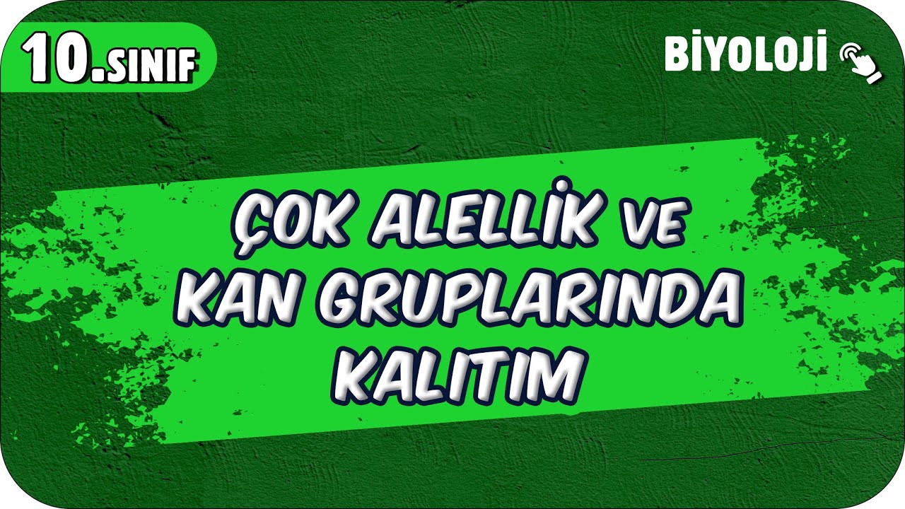 Çok Alellik ve Kan Gruplarında Kalıtım | 10.Sınıf Biyoloji #2025