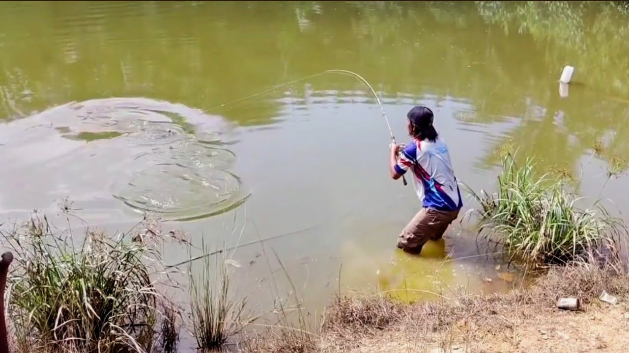 Detik-detik..!! Joran patah jadi tiga di hajar ikan monster segede bayi