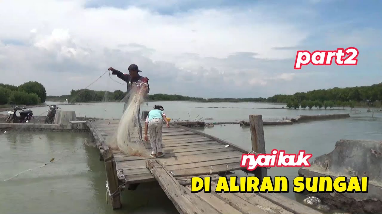 mencari ikan di aliran sungai.