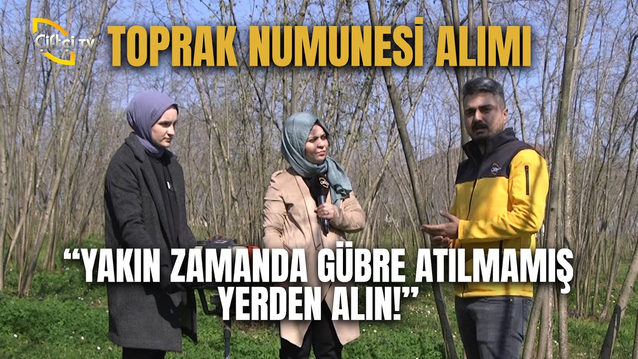 Toprak Numunesinde Alımında Dikkat Edilecekler - Derdimiz Fındık