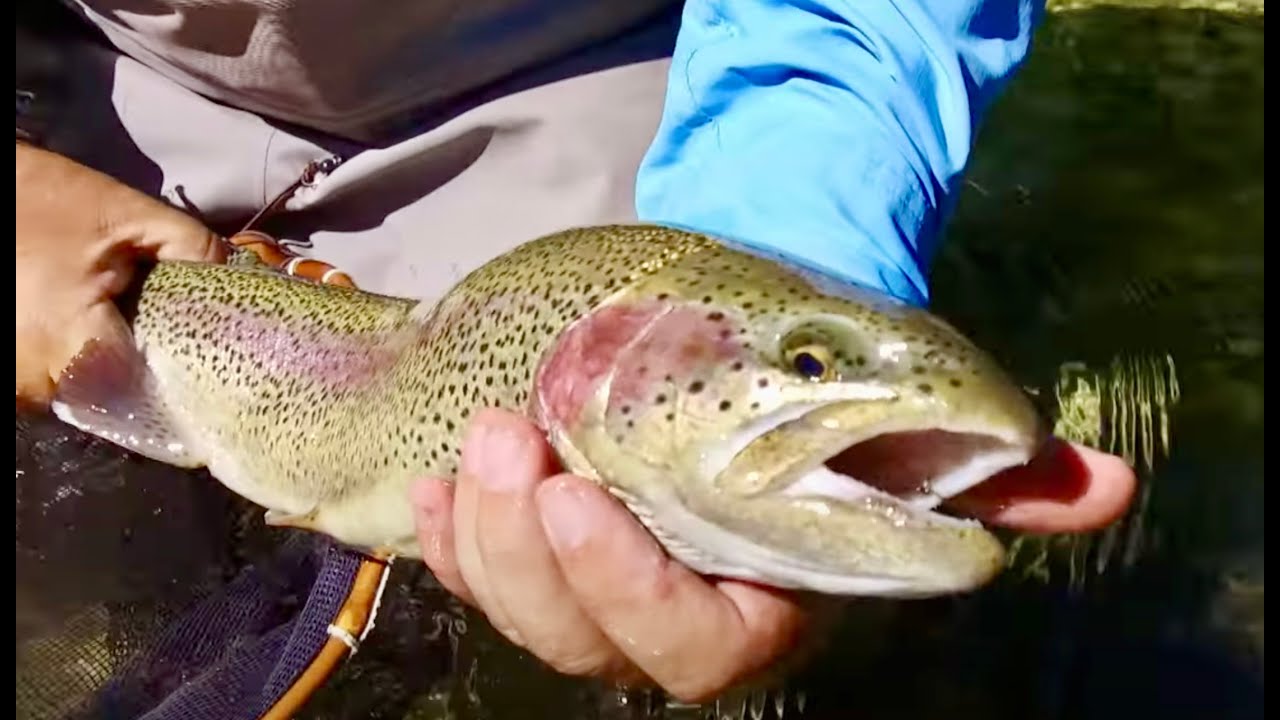 Piacere Tenkara 03s04e - Terzo giorno (e fu gloria)
