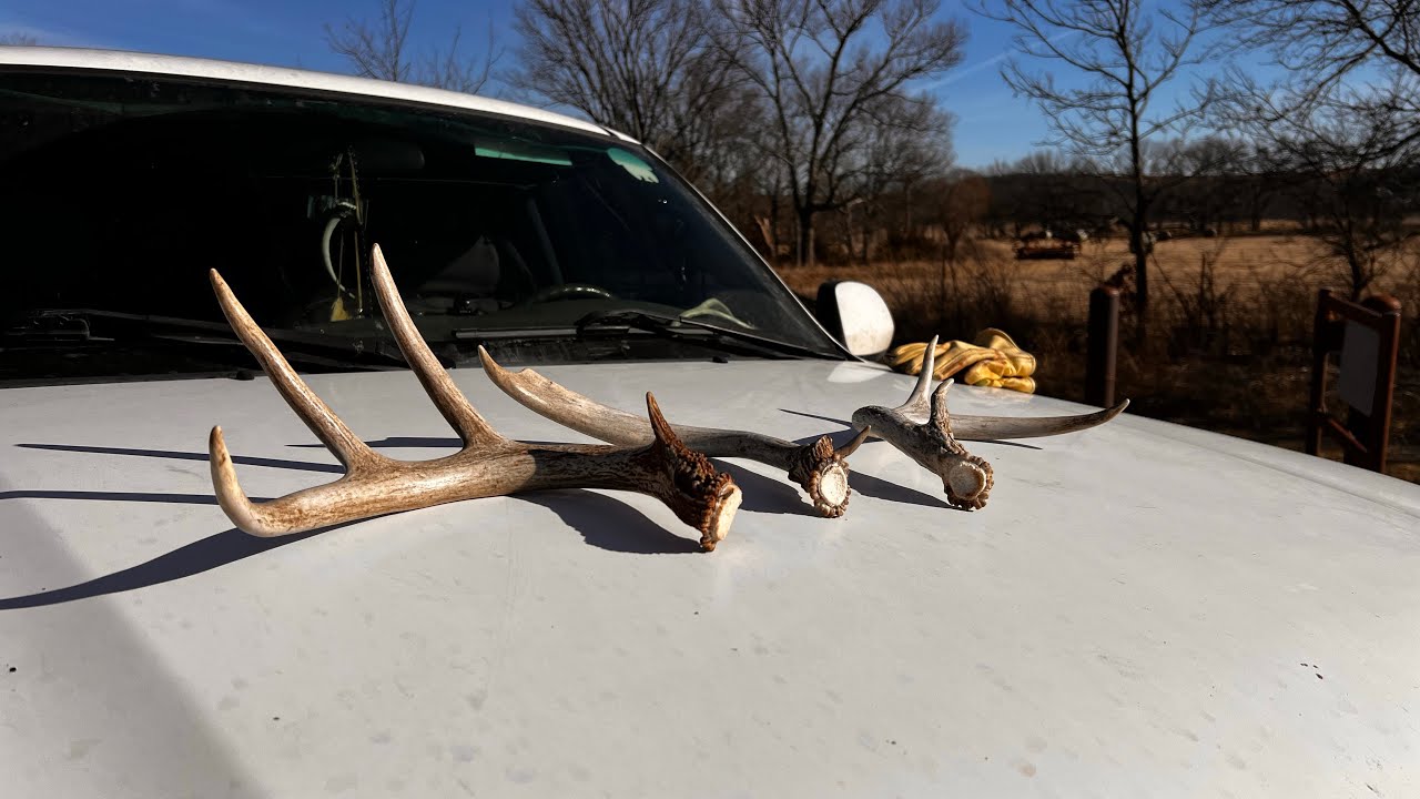February 7 2026 first shed hunt of the post season in Oklahoma