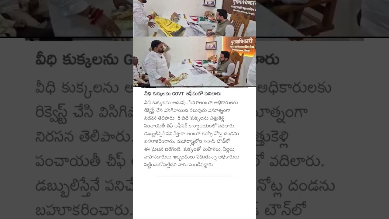 వీధి కుక్కలను GOVT ఆఫీసులో వదిలారు #governmentoffice #maharashtra #straydogs #news #politics #viral
