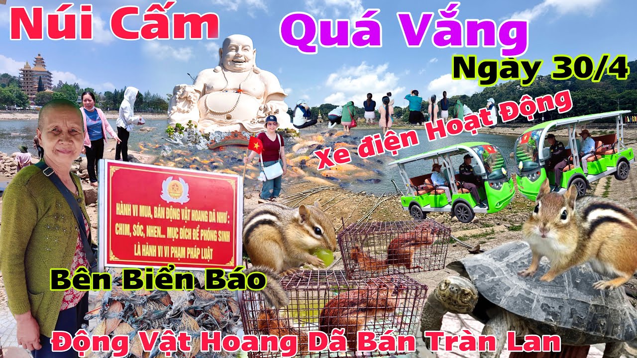 Núi Cấm Quá Vắng ngày 30/04 động vật hoang dã vẫn bày bán dù có biển cảnh báo xe điện hoạt động rồi