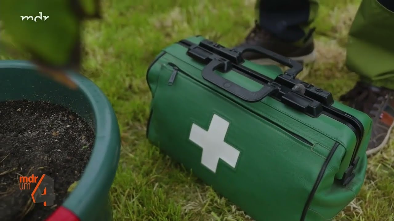 Saurer Boden - was tun? 🌱Topfpflanzen in Not.