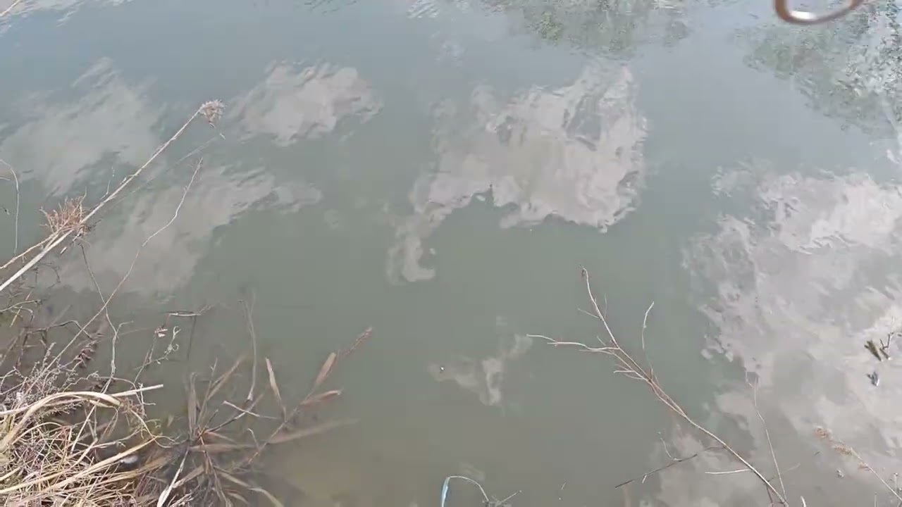 リアルちゃー散歩　茨城・前川＆外浪逆浦