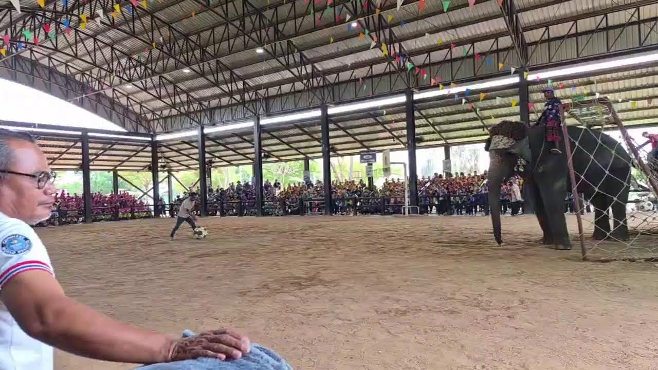 วังพุด นร1,000+
