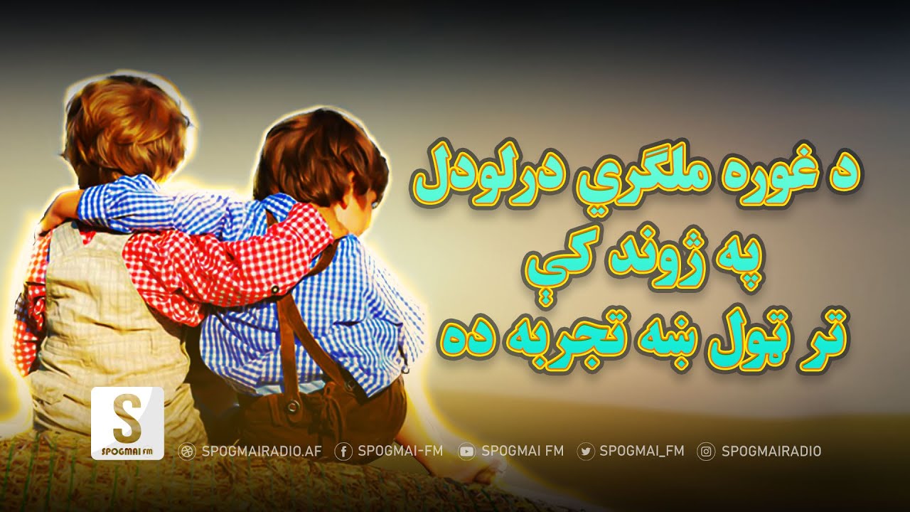 د غوره ملګري عمده ځانګړتیاوې