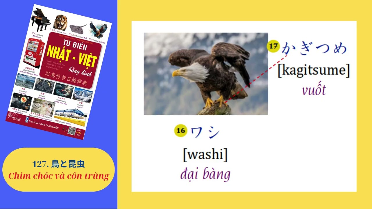 127.  鳥と昆虫 – Chim chóc và côn trùng
