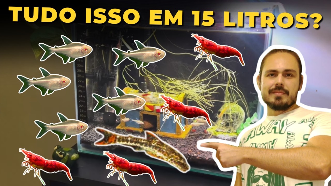 🔴AQUÁRIO COMUNITÁRIO DE 15 LITROS DO JOÃO |Mr. Betta|