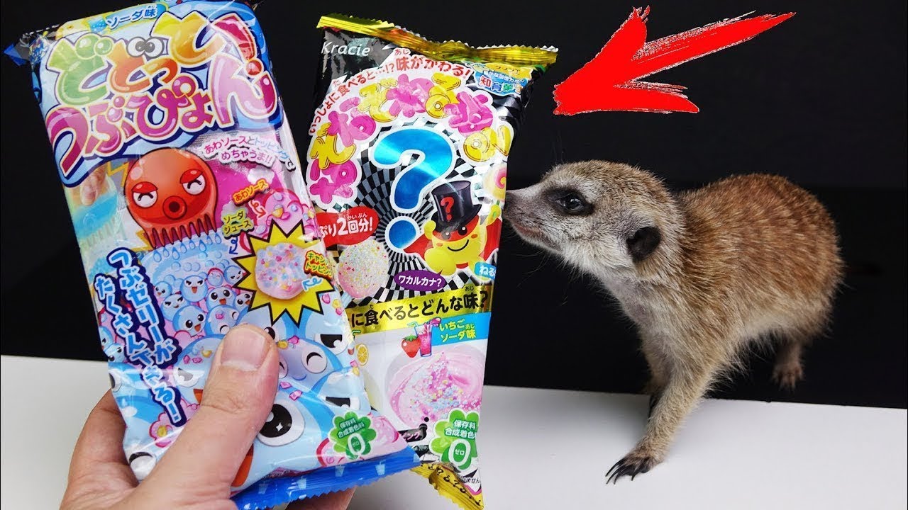 Timon und Ich machen komische japanische Süßigkeiten aus Pulver - DiY