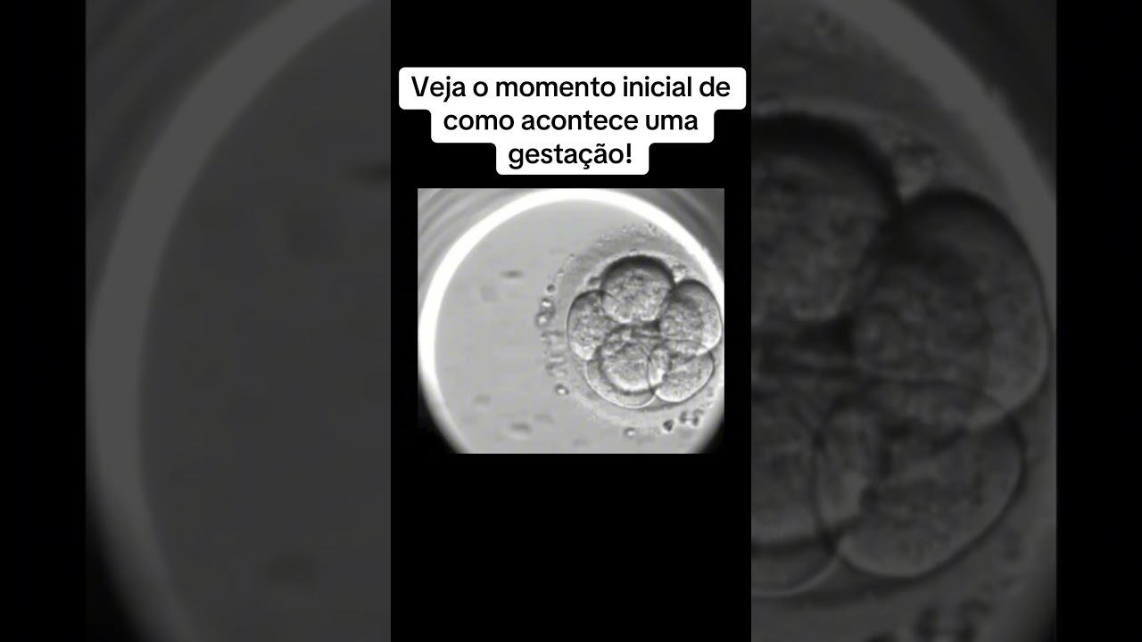 Vejam como acontece uma fecunda&ccedil;&atilde;o e os primeiros momentos de desenvolvimento do embri&atilde;o! #gravidez