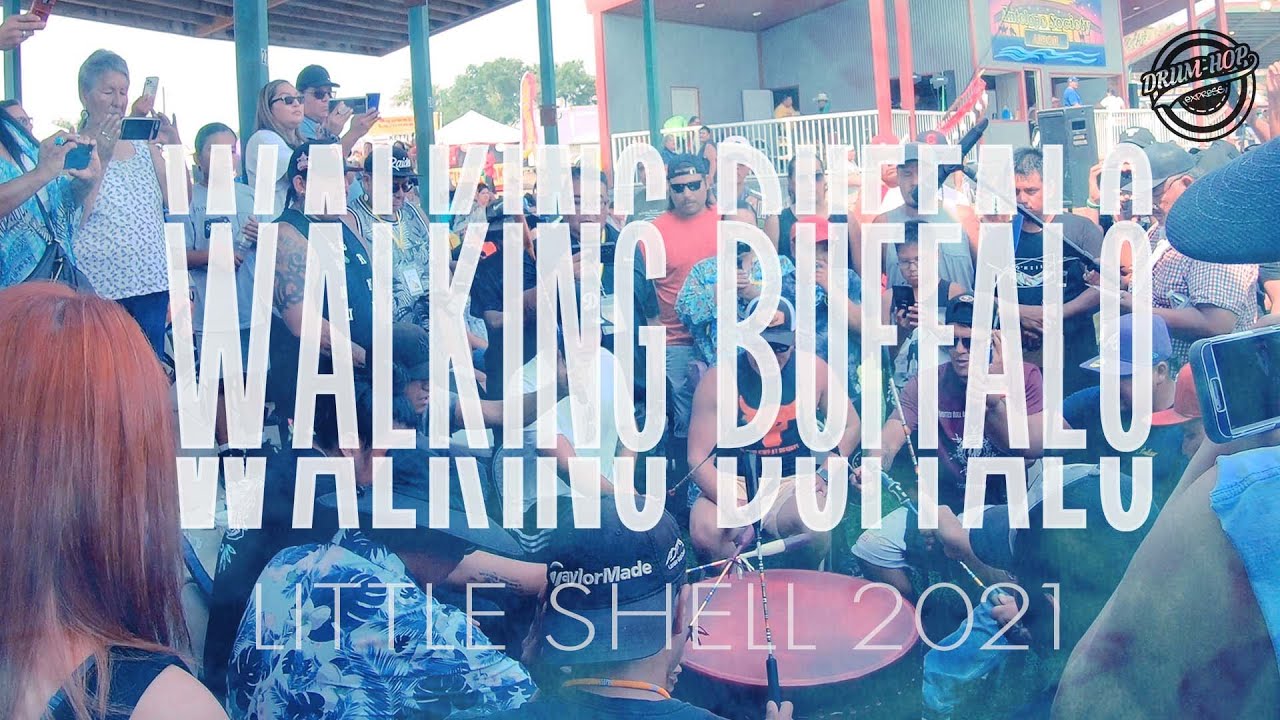 Walking Buffalo @ Little Shell 2021