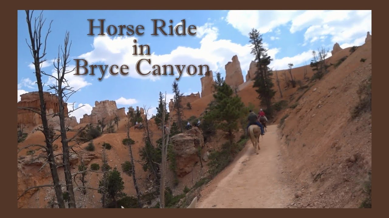 Bryce Canyon Trail Ride - Southern Utah Horse Adventures