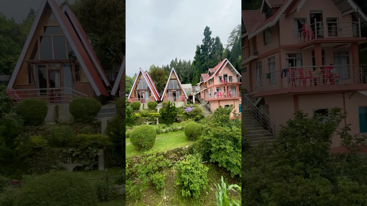 Kaffer homestay, kaffergaon, kalimpong, west bengal #hillstation #resort #nature #shorts #reels