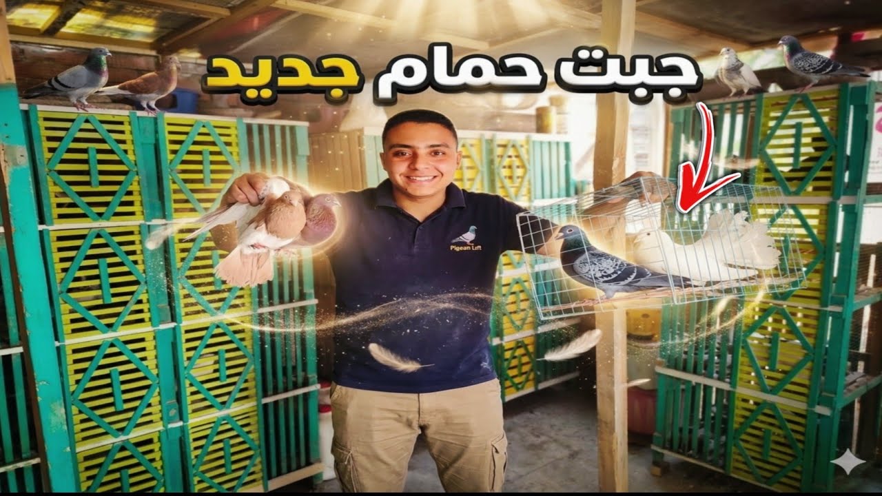 جبت حمام جديد 😮 وشوف اخر تطوير في السلاكة #غاوي_السلاكة 