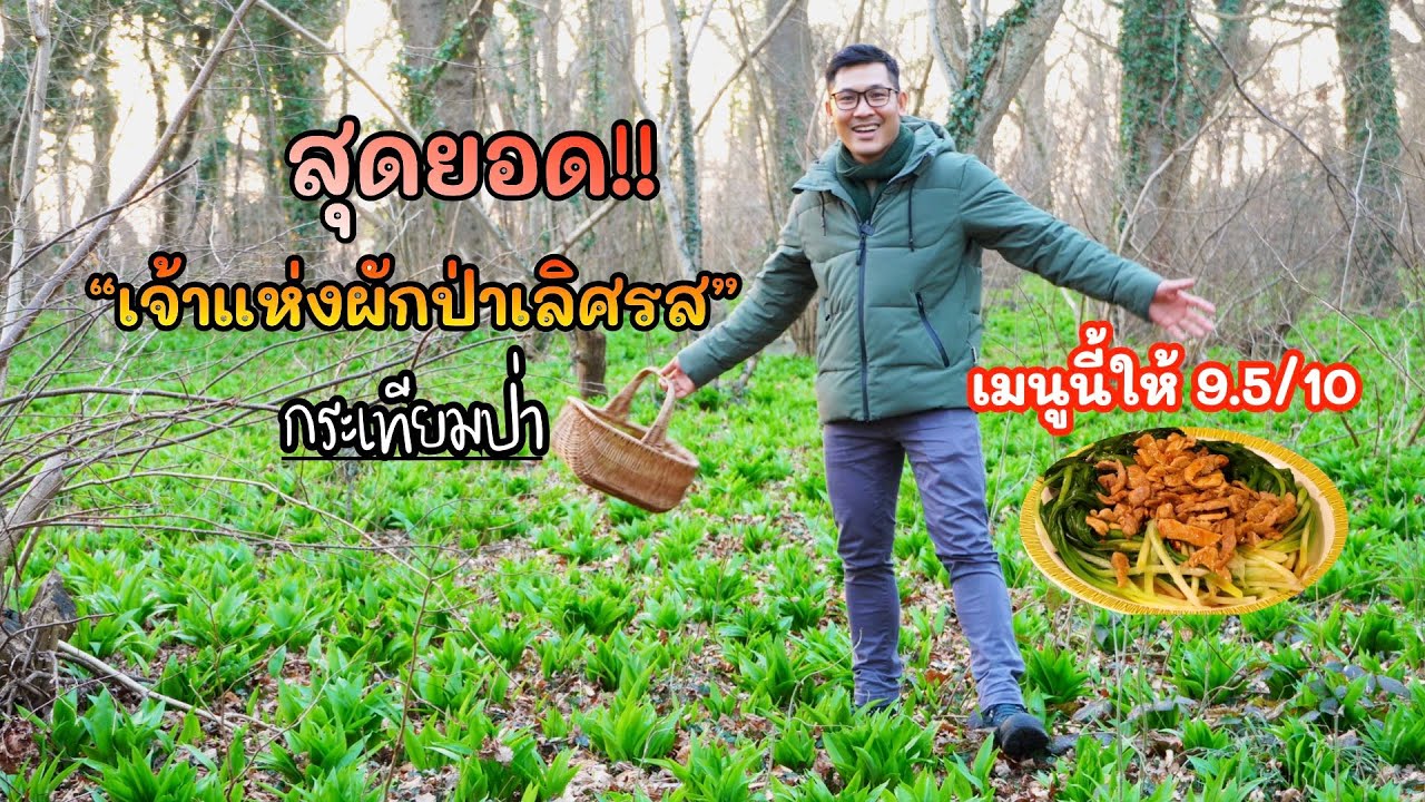 เต็มป่าแล้ว! สุดยอดเจ้าแห่งผักป่ายุโรป  อะไรจะสวยขนาดนี้ มีประโยชน์วิตามินซีเยอะ เมนูนี้รับรองถูกใจ✅
