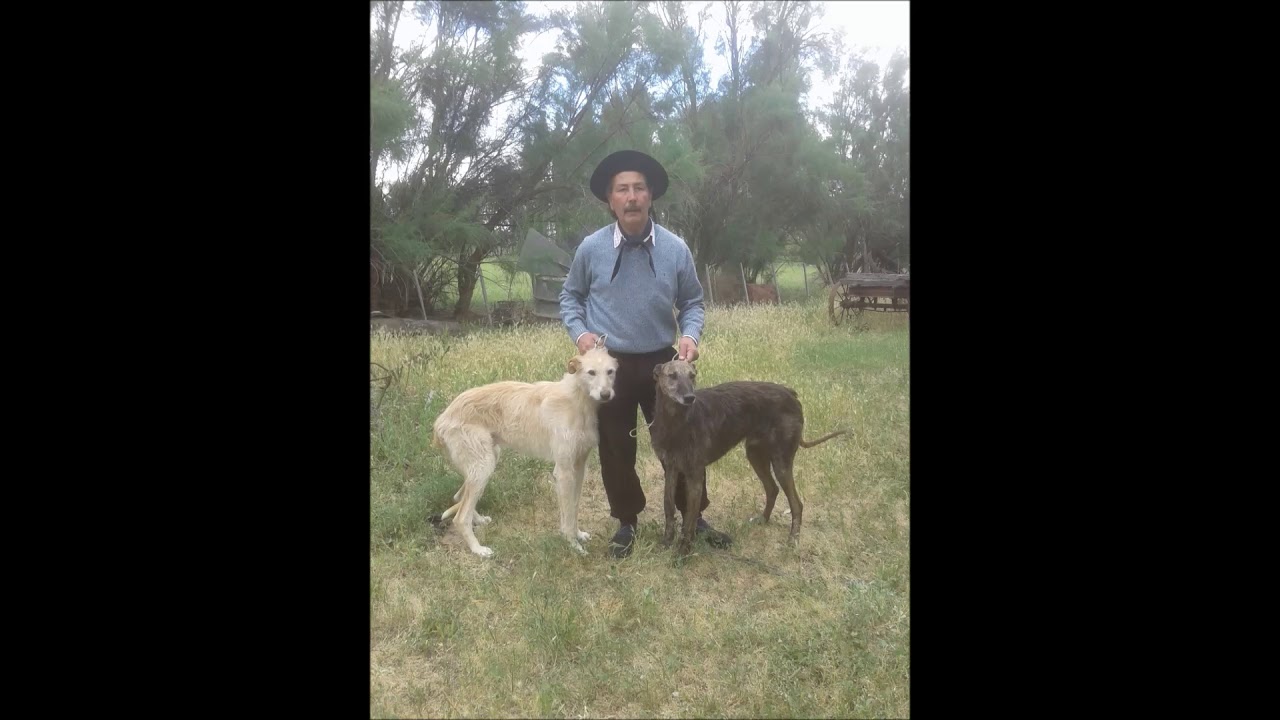 MARCELO MARIN - AUTOR Y PAYADOR - VEINTE DECIMAS A MIS PERROS, MILONGA