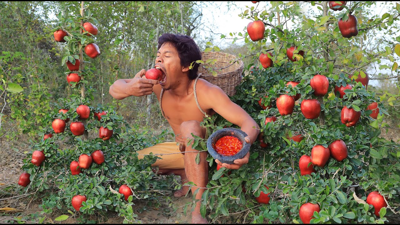 Survival in the forest - Eating apple with salt peppers -  In a forest full of apples