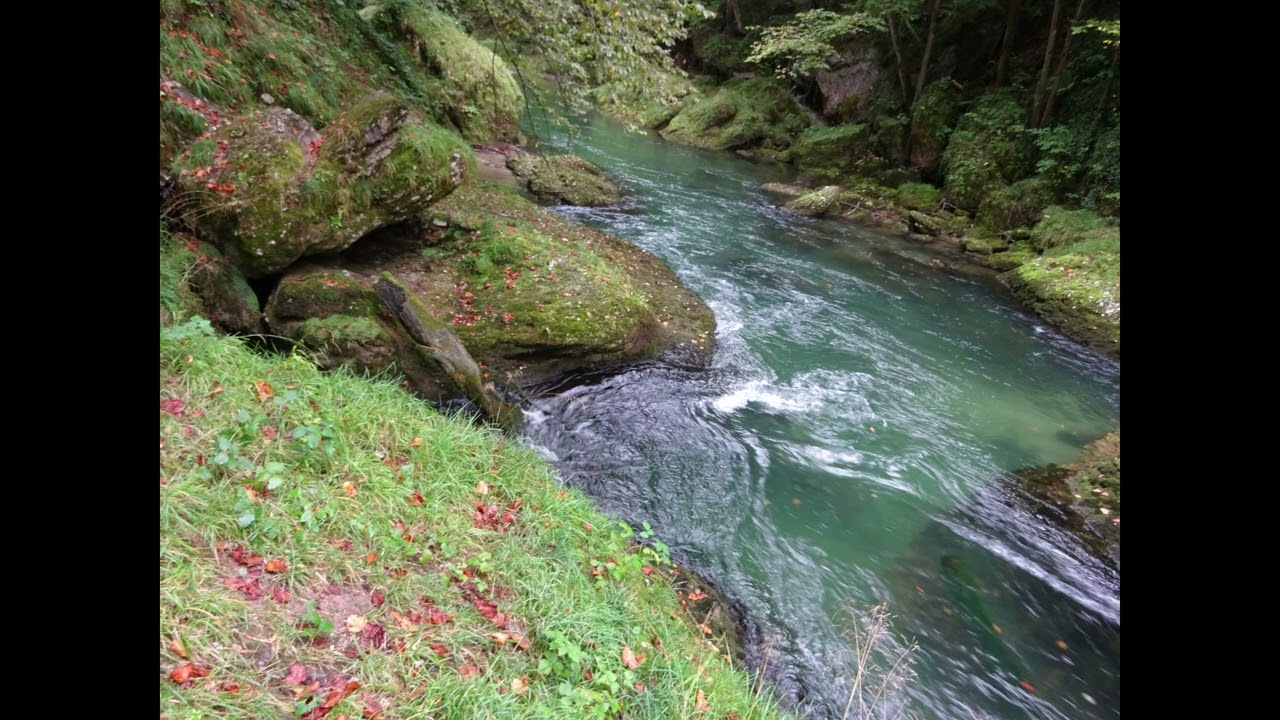 Erlaufschlucht Kurzversion