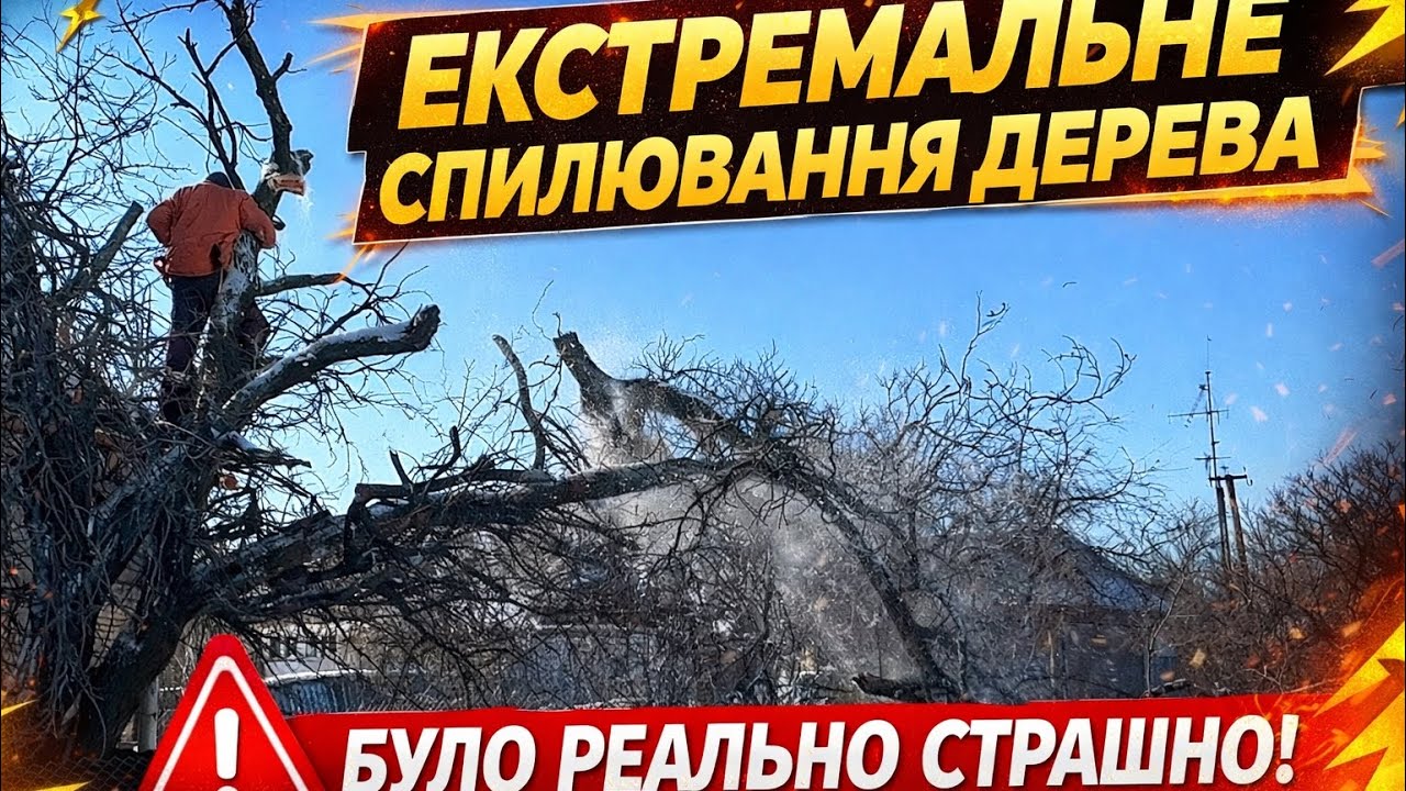 Екстремальне спилювання дерева | Було реально страшно