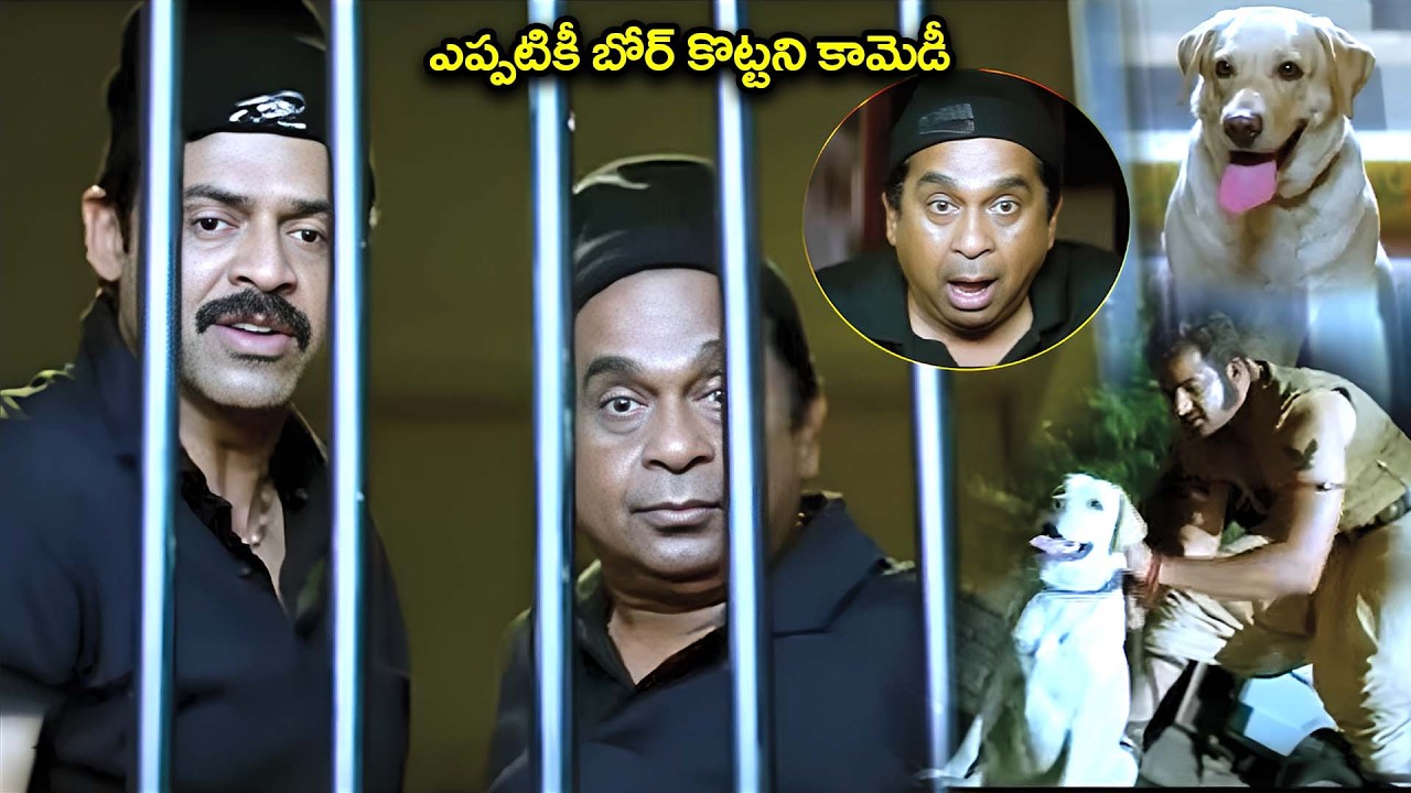 Namo Venkatesha Movie Comedy Scenes | Venkatesh Brahmanandam Best Comedy | @idreamkadapa