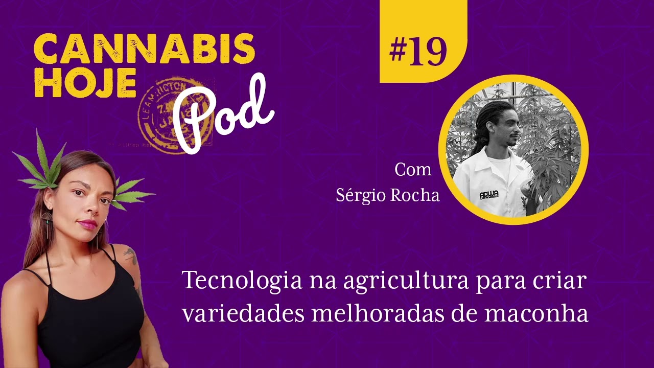 Cannabis Hoje Pod #19 Sérgio Rocha - Tecnologia para criar variedades melhoradas de maconha