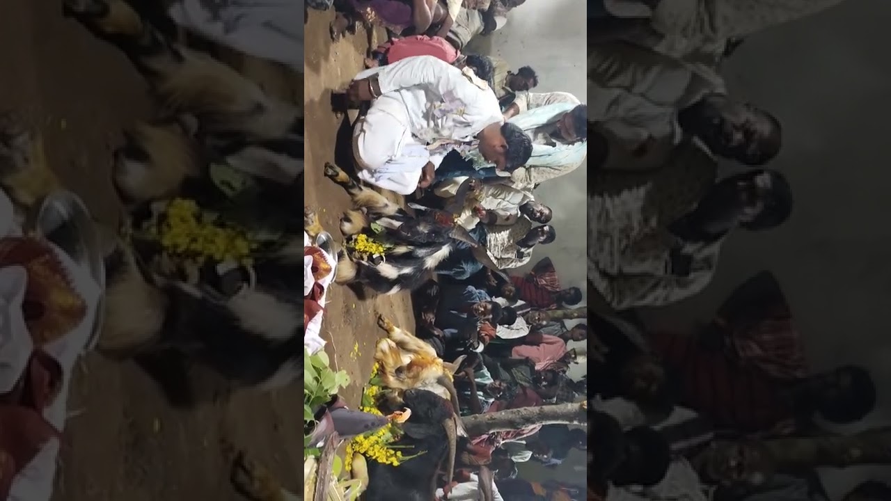 Kaki.krishna golla chaduvu (22-4-2022) in rajam