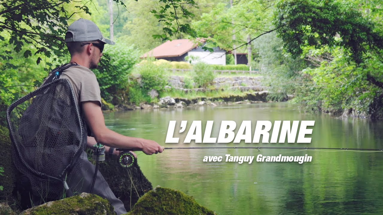 Pêche sur l'Albarine : truites et ombres à la mouche