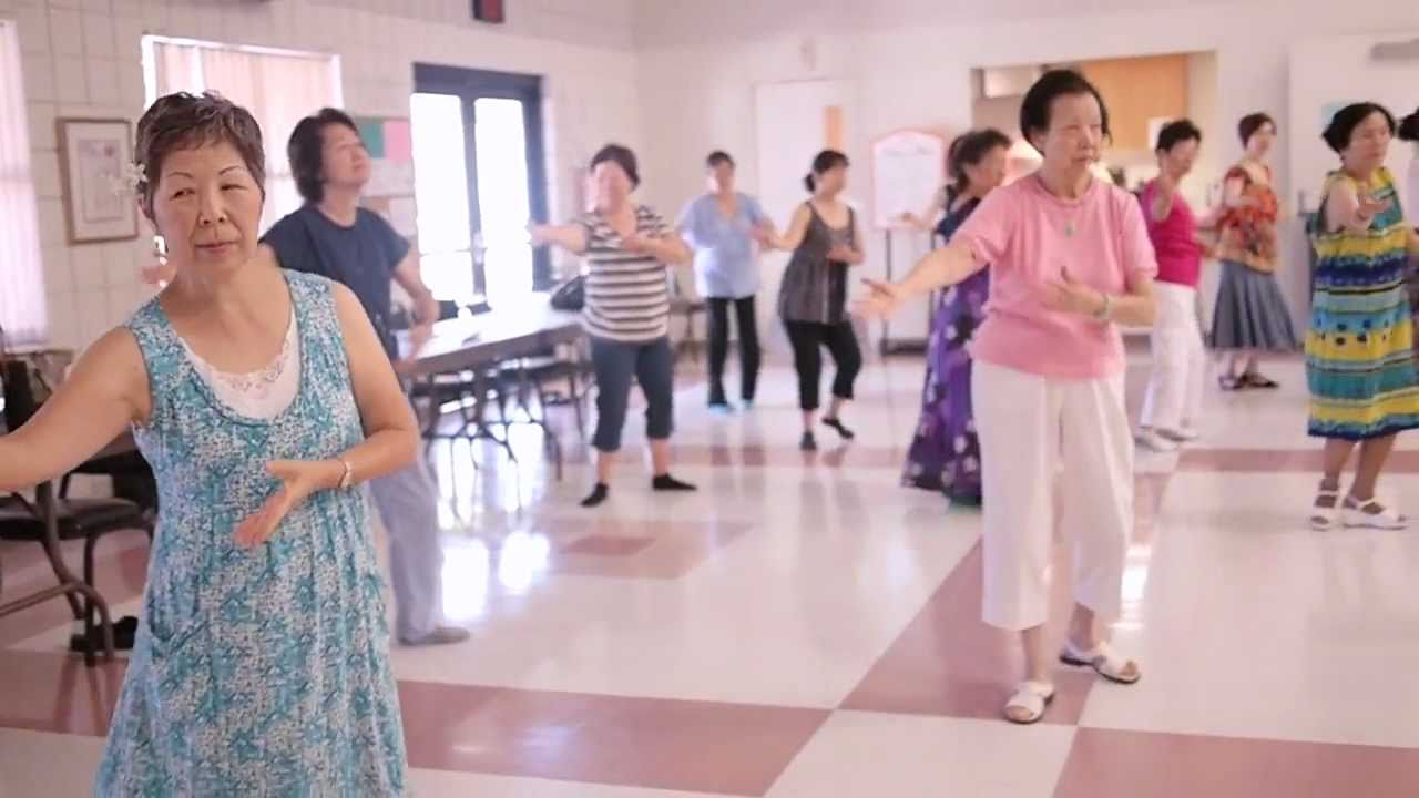 Steinmetz Senior Hula Class