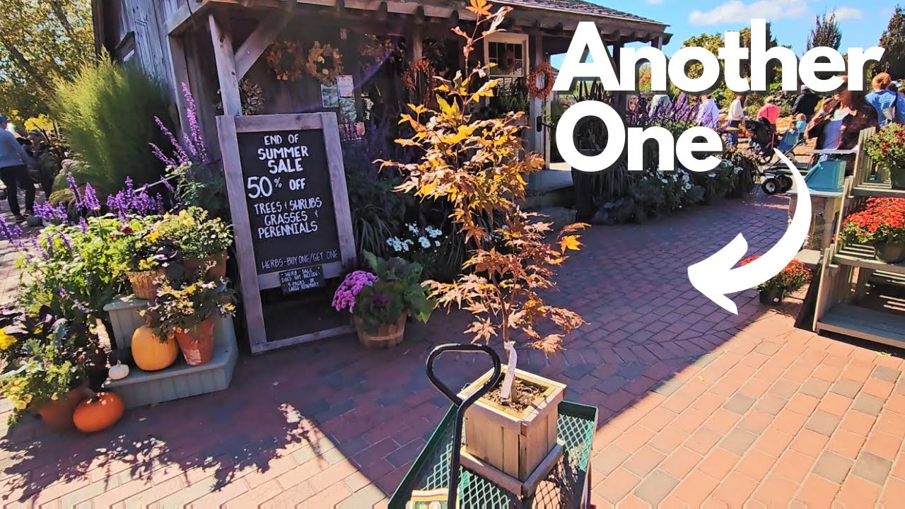 The Farmer's Daughter Garden Center in RI. Harvest Festival 2023. Plant Shopping & Haul!