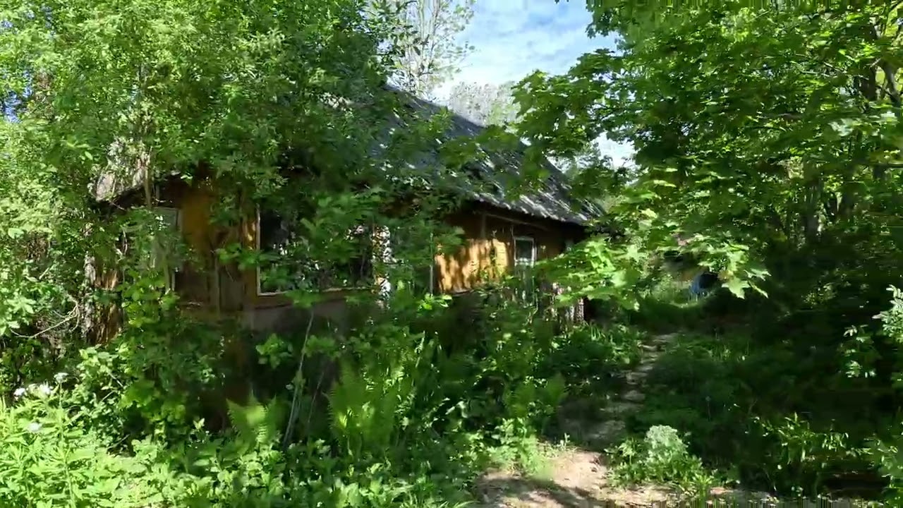 13 maja 2024 Białowieża  IBL Lech Wilczek Ul.Simony Kossak.