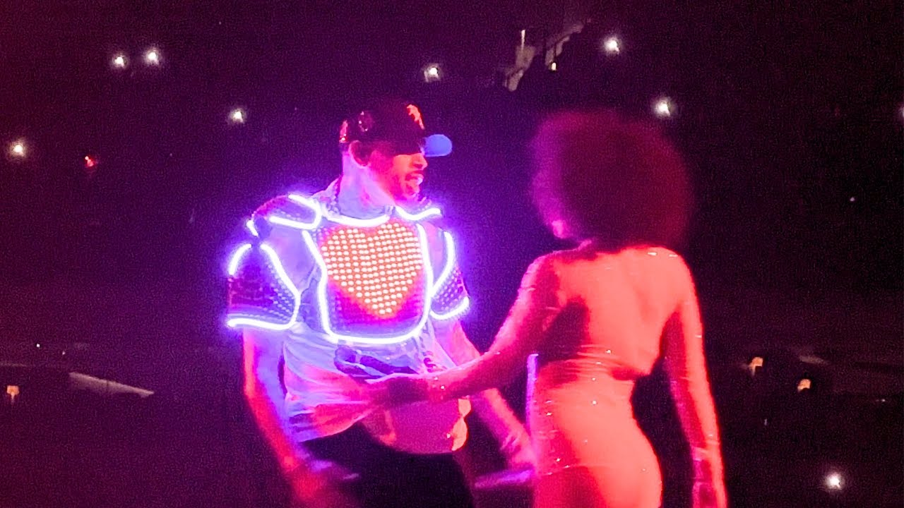 [4K] Chris Brown - Privacy (Live in Los Angeles) | Front Row | Breezy Bowl XX Stadium Tour