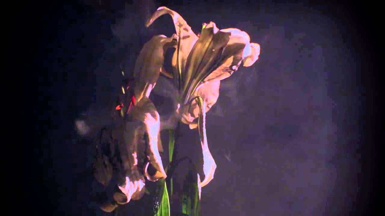 Lykke Li - Silver Line (Official Audio)