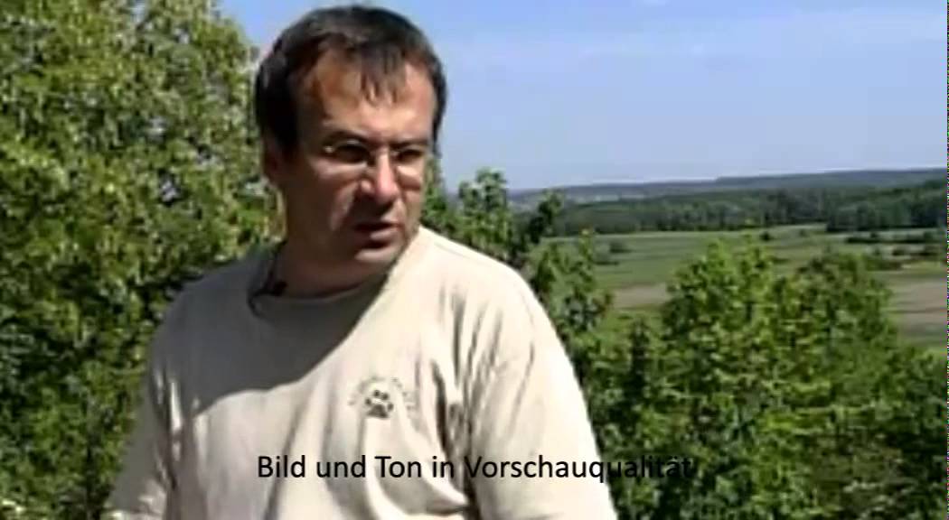 Schulfilm: Vom Wildtier zum Haustier und Nutztier (Schulfilm-Vorschau)