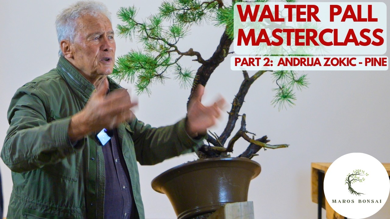 Slender Scots Pine Design: The 'Too Many Options' Trap (w/ Walter Pall)