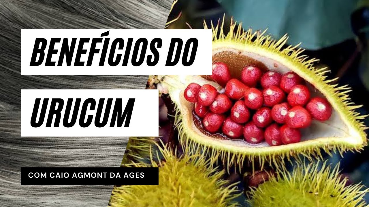 Benefícios do URUCUM e o potencial farmacológico da Amazônia [envelhecimento saudável]