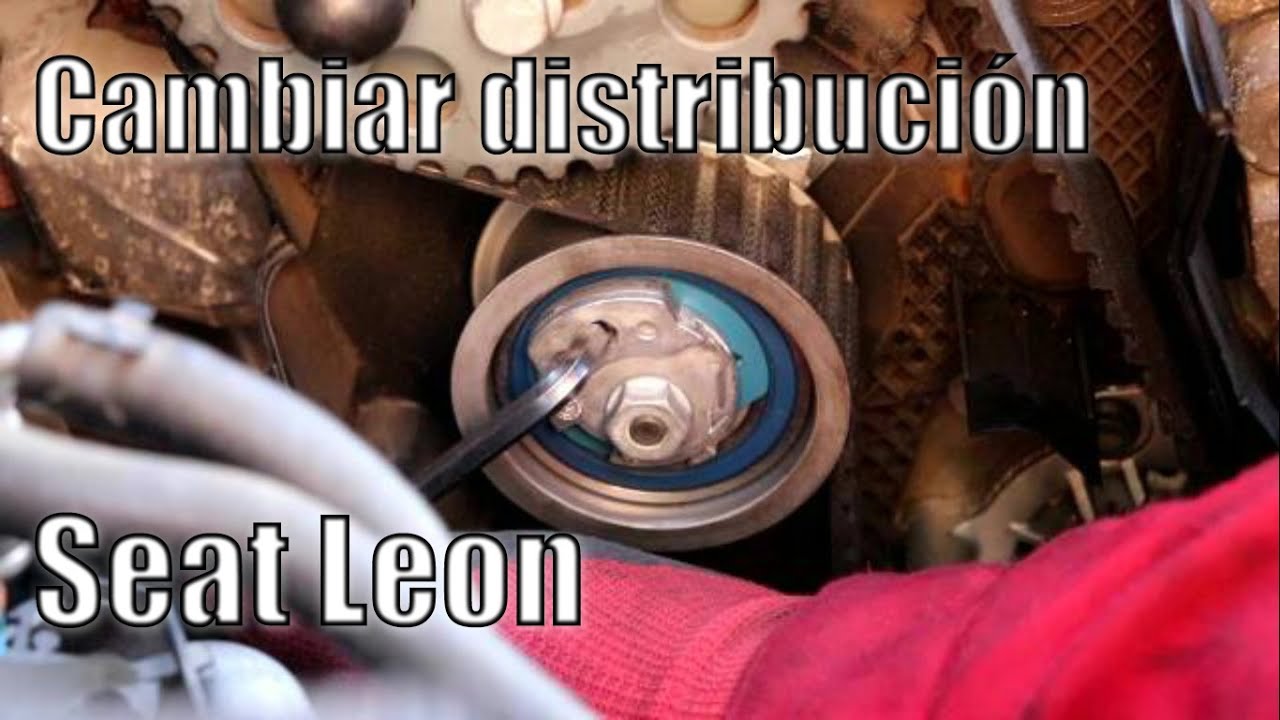 como cambiar la correa de distribucion de un seat leon 1 9 tdi BXE