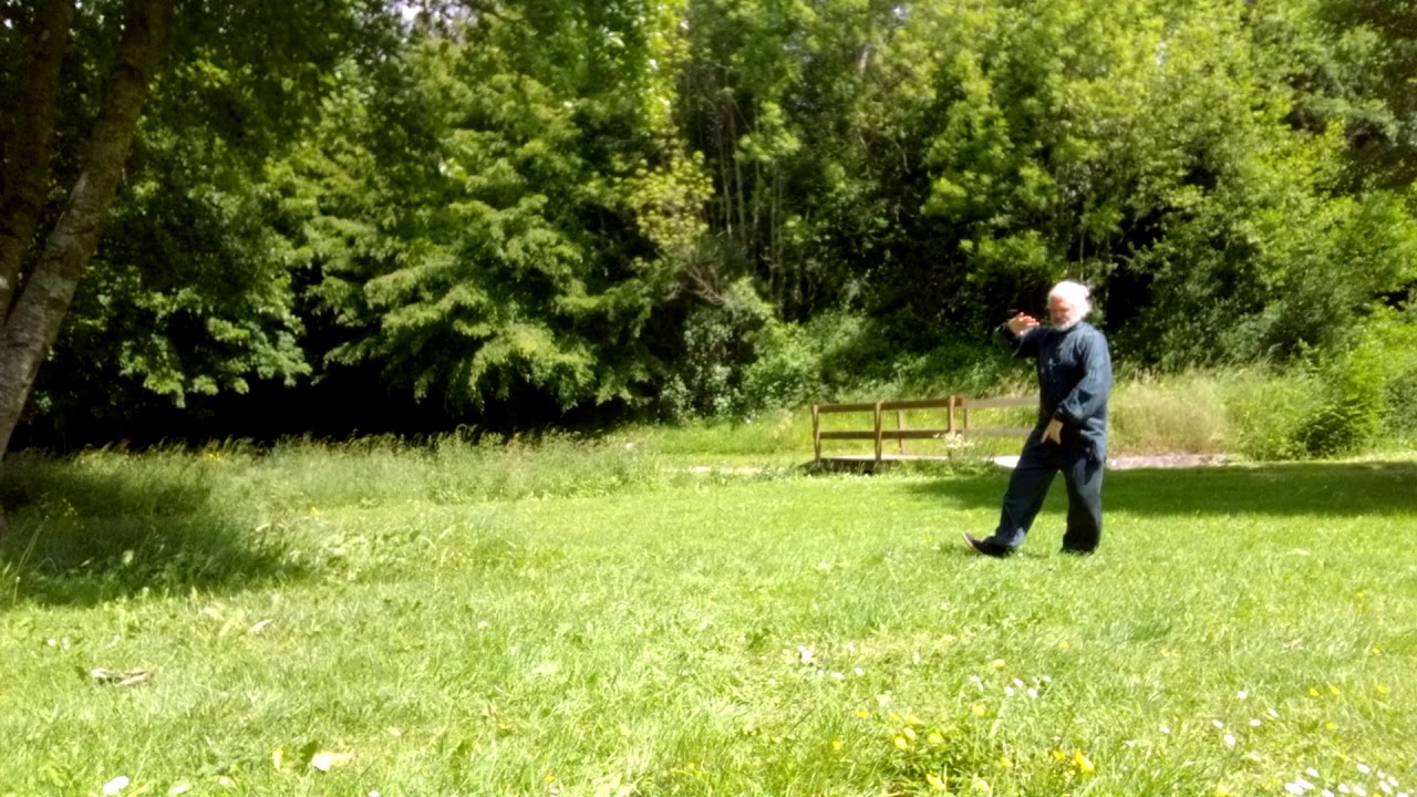 Taiji quan forme 16
