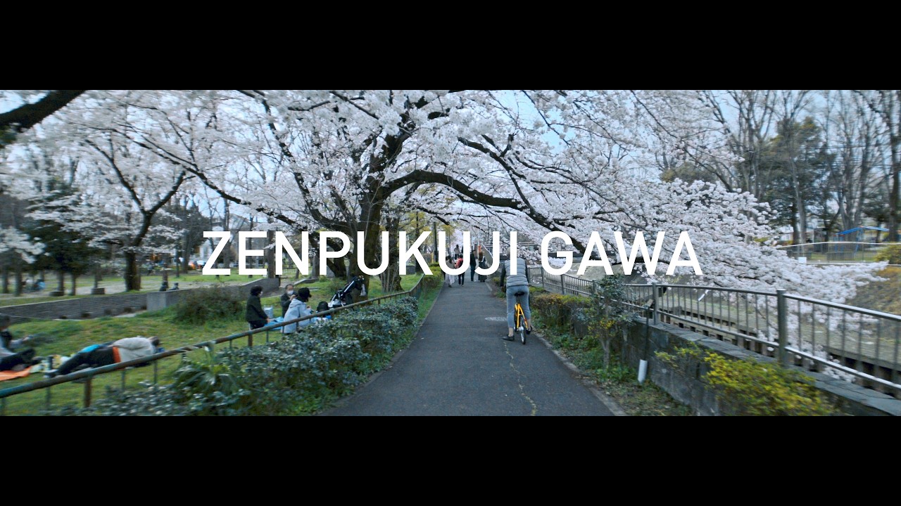 善福寺川