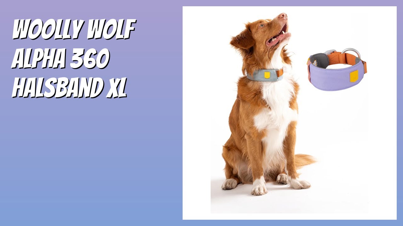 BEWERTUNG (2026): Woolly Wolf Alpha 360 Halsband XL. Infos