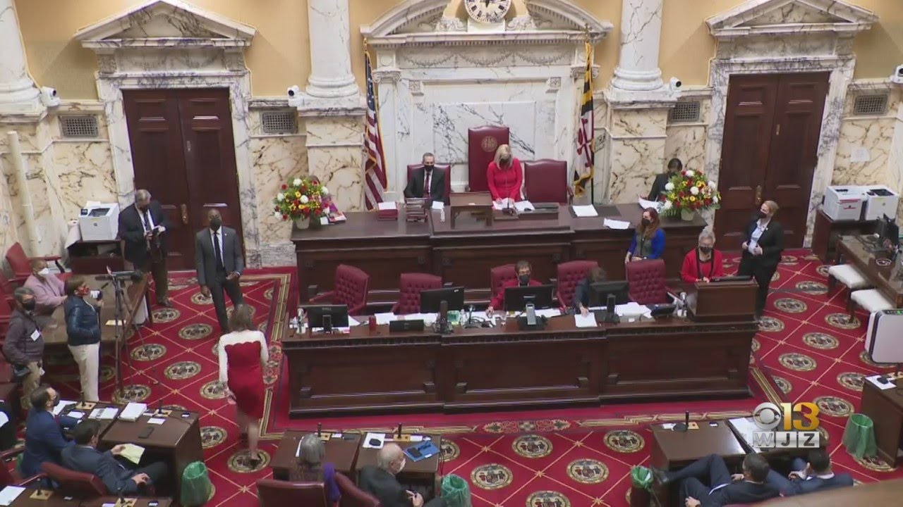 State lawmakers discuss gender-affirming care, gun control bills as 2023 legislative session nears e