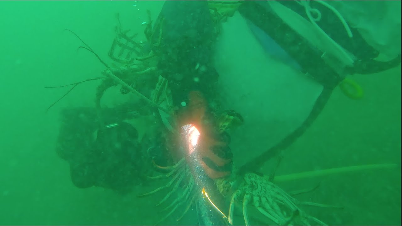 Key West day 5: Quick lobster limit diving on the 3rd lung