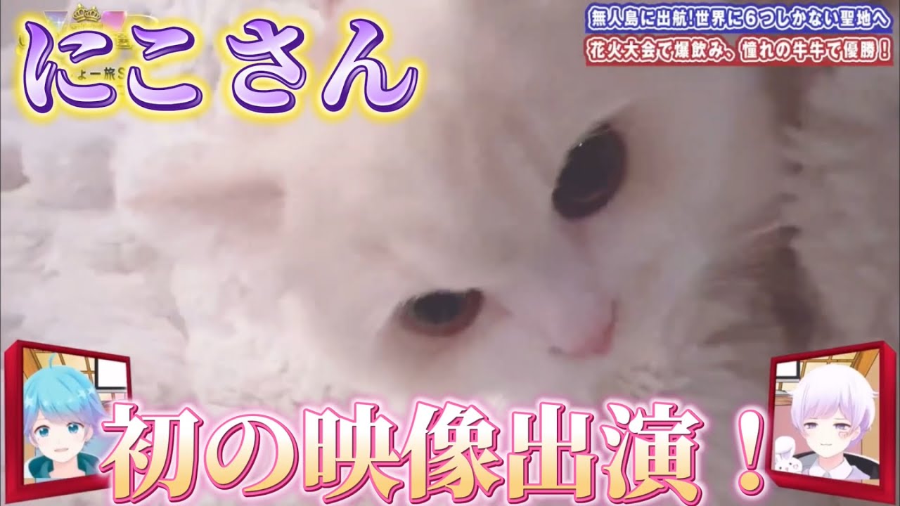 【いれいす切り抜き】にこさん初の映像出演！いむしょー