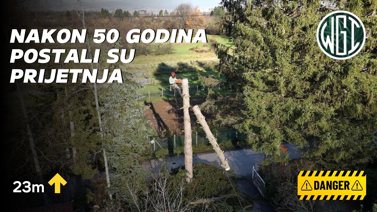 WGI - Uklanjanje smrče