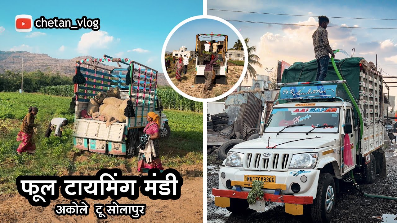 अकोले टू सोलापूर 6 तासात मंडी ⌛⌚  @ChetanVlog-9366