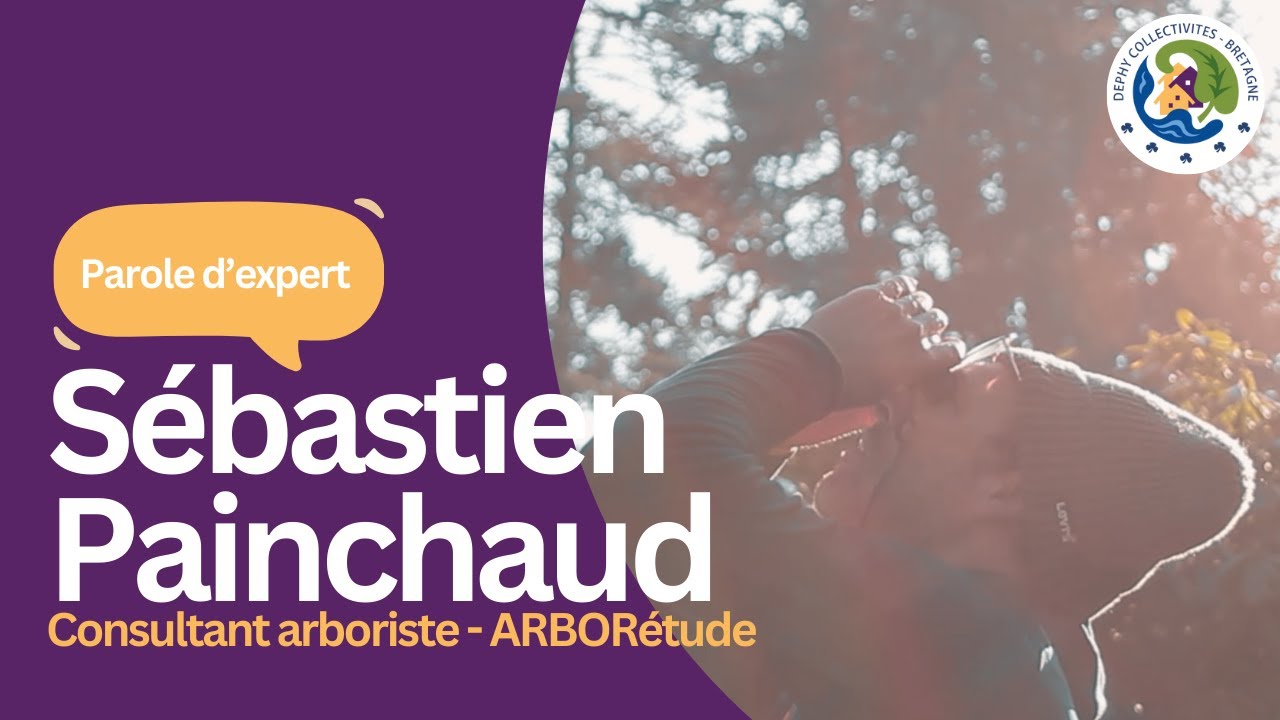 PAROLE D'EXPERT : S&eacute;bastien PAINCHAUD, consultant en diagnostic arboricole