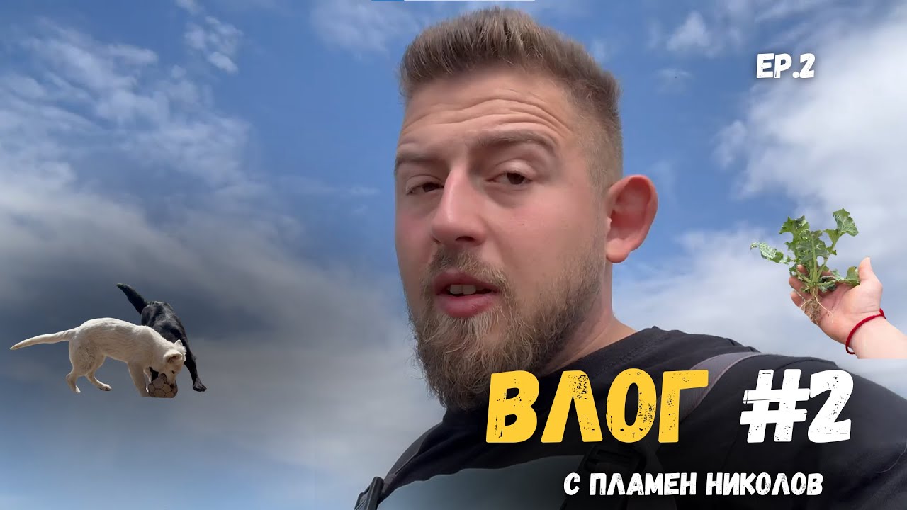 Влог от полето №2 - Рапица под лупа