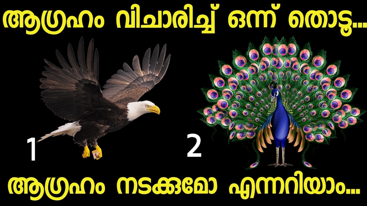 നിങ്ങളുടെ മനസിൽ ഒരു ആഗ്രഹമുണ്ടോ? എങ്കിൽ ചിത്രം തൊട്ടുനോക്കൂ ആഗ്രഹം സഫലമാകുമോയെന്ന് അറിയാം.#thodukuri